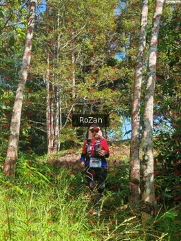 Runner Photo 5363