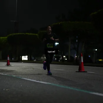 Runner Photo 5366126