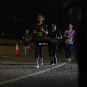 Runner Photo 5369660