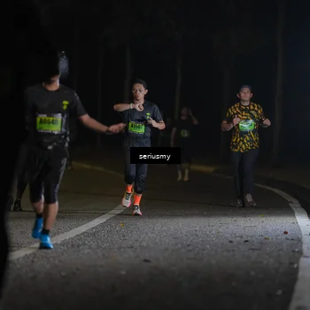 Runner Photo 5369984
