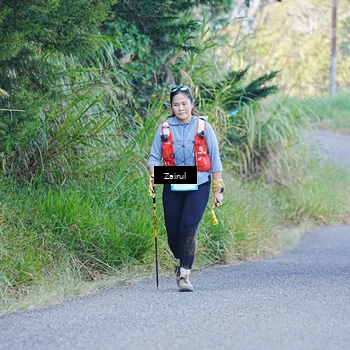 Runner Photo 5371485