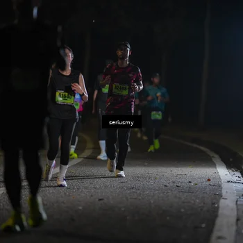 Runner Photo 5371846