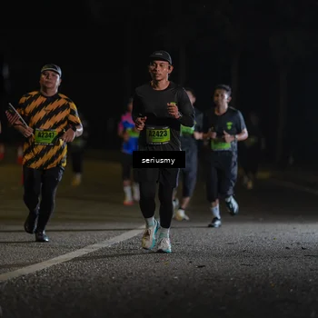 Runner Photo 5372163