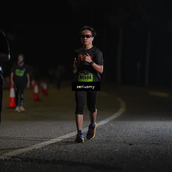 Runner Photo 5372326