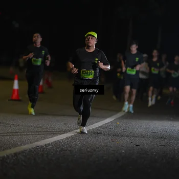 Runner Photo 5372426