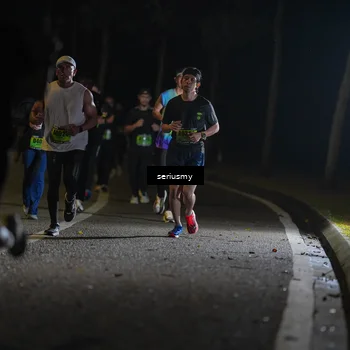 Runner Photo 5372476