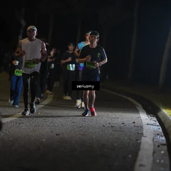 Runner Photo 5372499