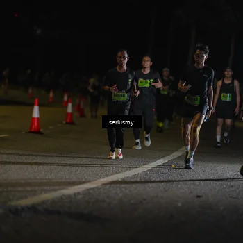 Runner Photo 5372680