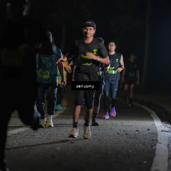 Runner Photo 5373034