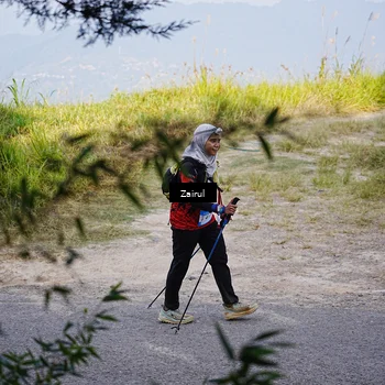 Runner Photo 5373298