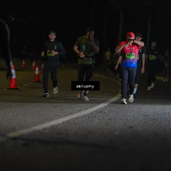 Runner Photo 5373355