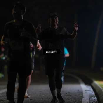 Runner Photo 5373641