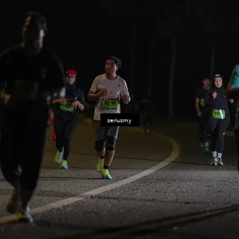Runner Photo 5373666