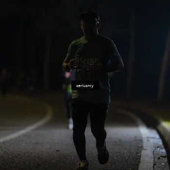 Runner Photo 5373686