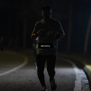 Runner Photo 5373703