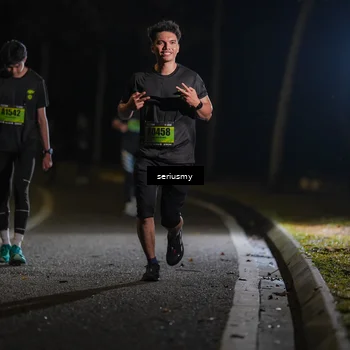 Runner Photo 5373748