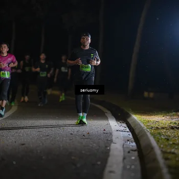 Runner Photo 5374153