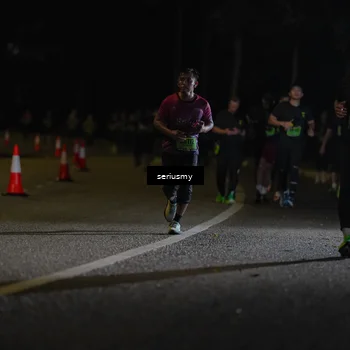 Runner Photo 5374162