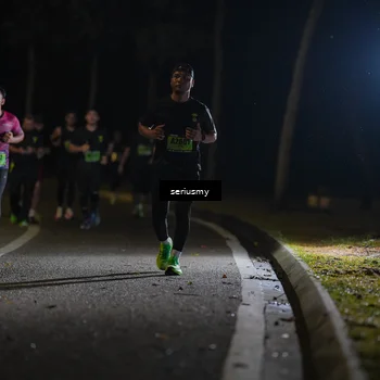 Runner Photo 5374165