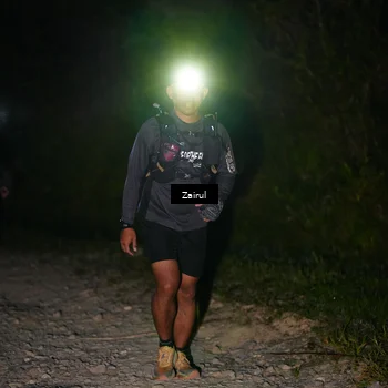Runner Photo 5374806