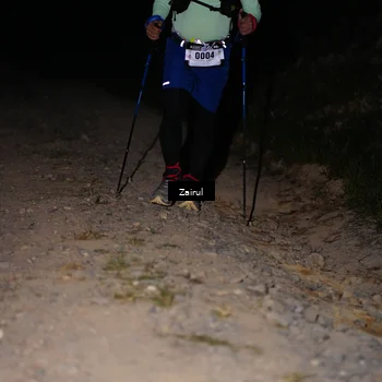 Runner Photo 5374859