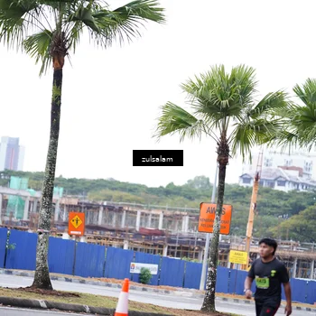 Runner Photo 5375670