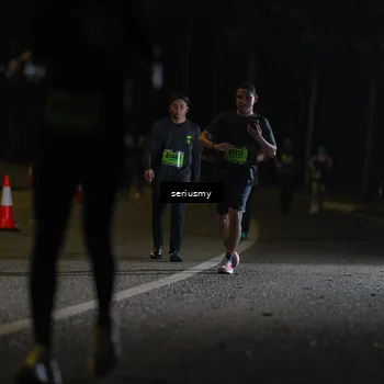 Runner Photo 5376183