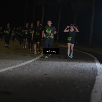 Runner Photo 5376279