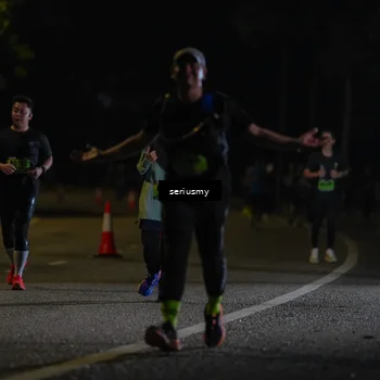 Runner Photo 5376490