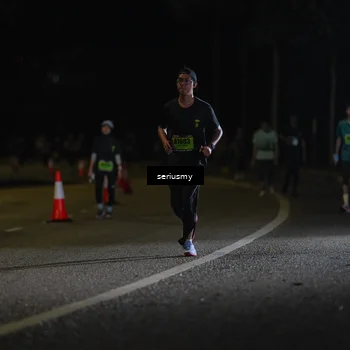 Runner Photo 5377141