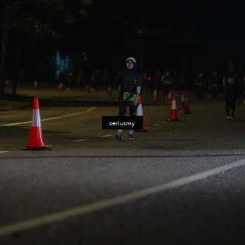 Runner Photo 5377171