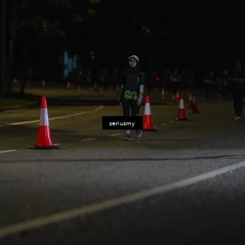 Runner Photo 5377183