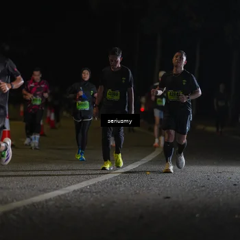 Runner Photo 5377888