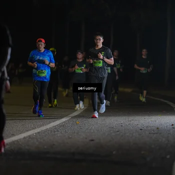 Runner Photo 5378296