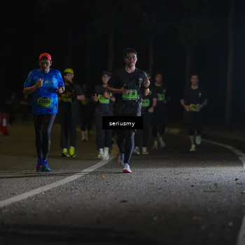 Runner Photo 5378302