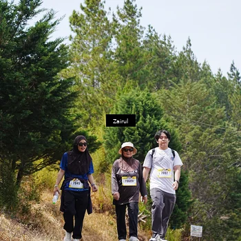 Runner Photo 5378525