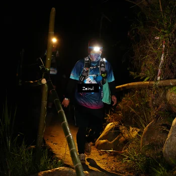 Runner Photo 5378684