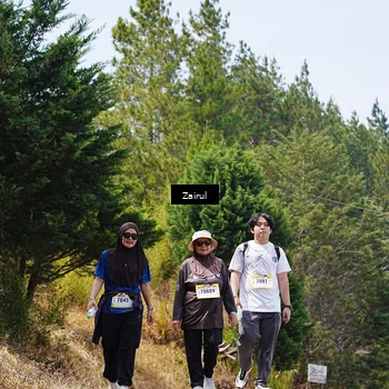 Runner Photo 5378757