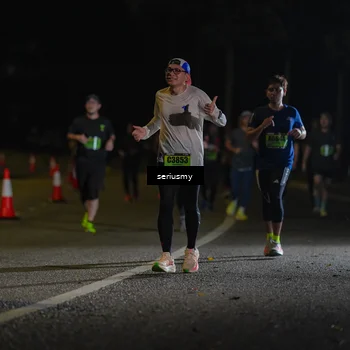 Runner Photo 5378804