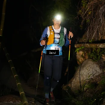 Runner Photo 5378834