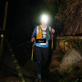 Runner Photo 5378901