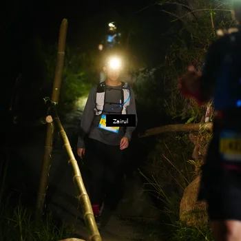 Runner Photo 5378995