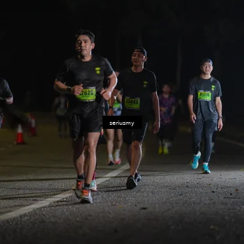 Runner Photo 5379043