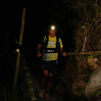 Runner Photo 5379187