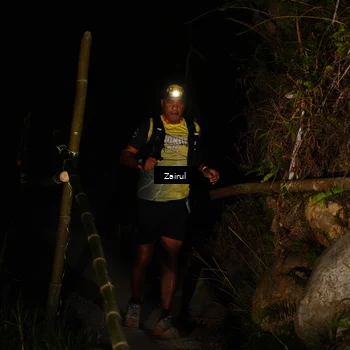 Runner Photo 5379215