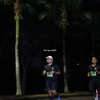 Runner Photo 5379655