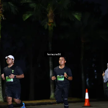 Runner Photo 5379662