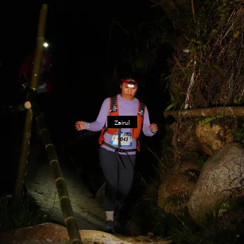 Runner Photo 5379687