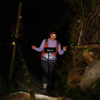 Runner Photo 5379758