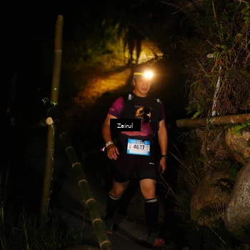 Runner Photo 5380101